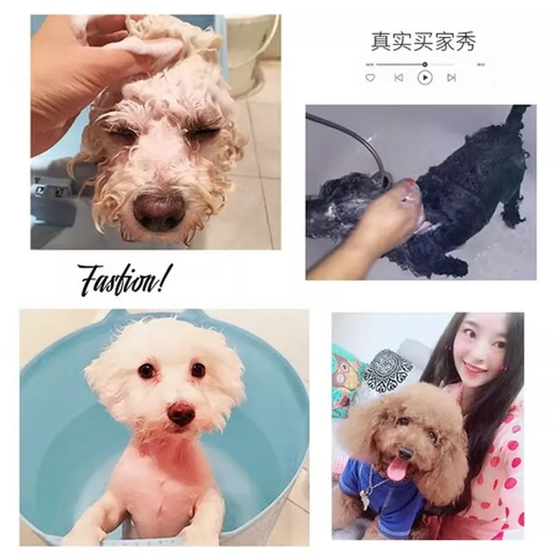 狗狗洗澡浴液用品香波猫咪沐浴露洗护比熊博美宠物猫泰迪留香