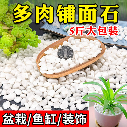 白色石子天然石头鹅卵石多肉铺面石盆栽花盆庭院鱼缸造景园艺装饰 - 封面