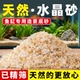 水晶砂鱼缸底砂造景河沙天然原生态水族装 饰石头铺底溪流砂乌龟砂