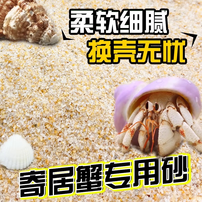 寄居蟹专用沙天然垫材珊瑚沙