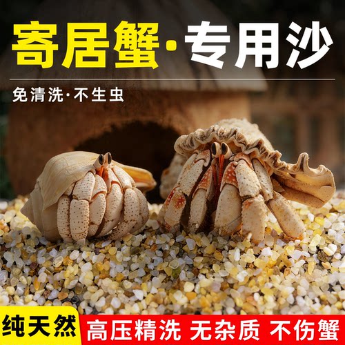 免洗海沙纯天然寄居蟹专用底砂