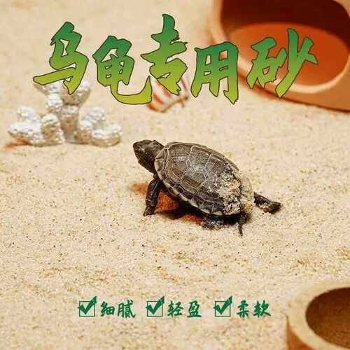 乌龟冬眠沙天然细河沙螃蟹爬宠沙