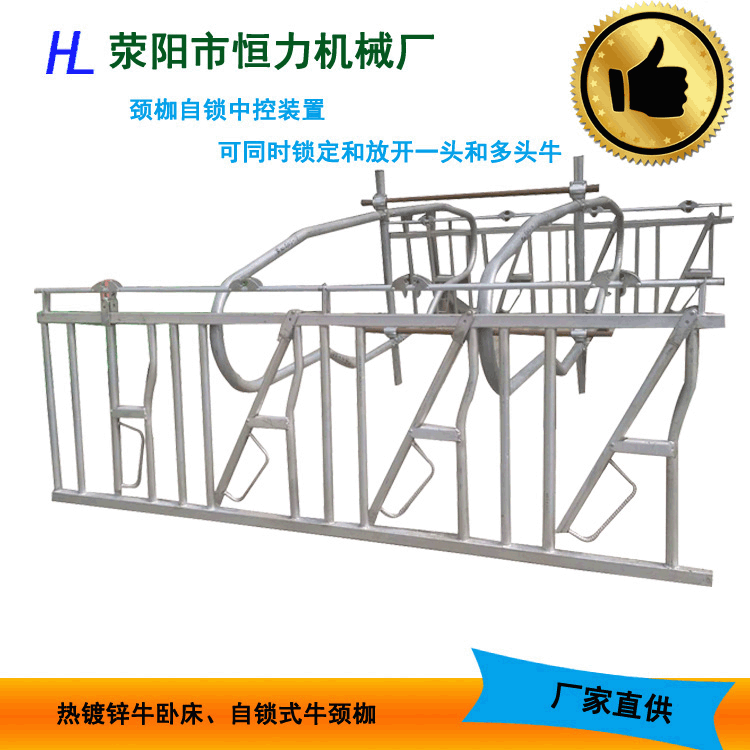 热镀锌牛颈枷结实耐用牛用设备 自锁式奶牛牧场专用牛颈夹