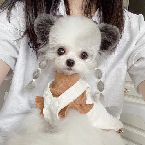 宠物春秋纯棉刺绣灯芯绒背带裙