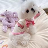 背心 薄款 宠物猫咪狗狗衣服洋气新款 小型犬雪纳瑞泰迪小体狗春夏款