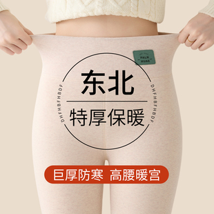 秋冬季 东北打底裤 女外穿加绒600克燕麦色保暖哈尔滨零下40度棉裤