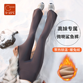 加绒 高腰收腹显瘦瑜伽喇叭裤 女外穿加长秋季 冬季 高个子微喇鲨鱼裤