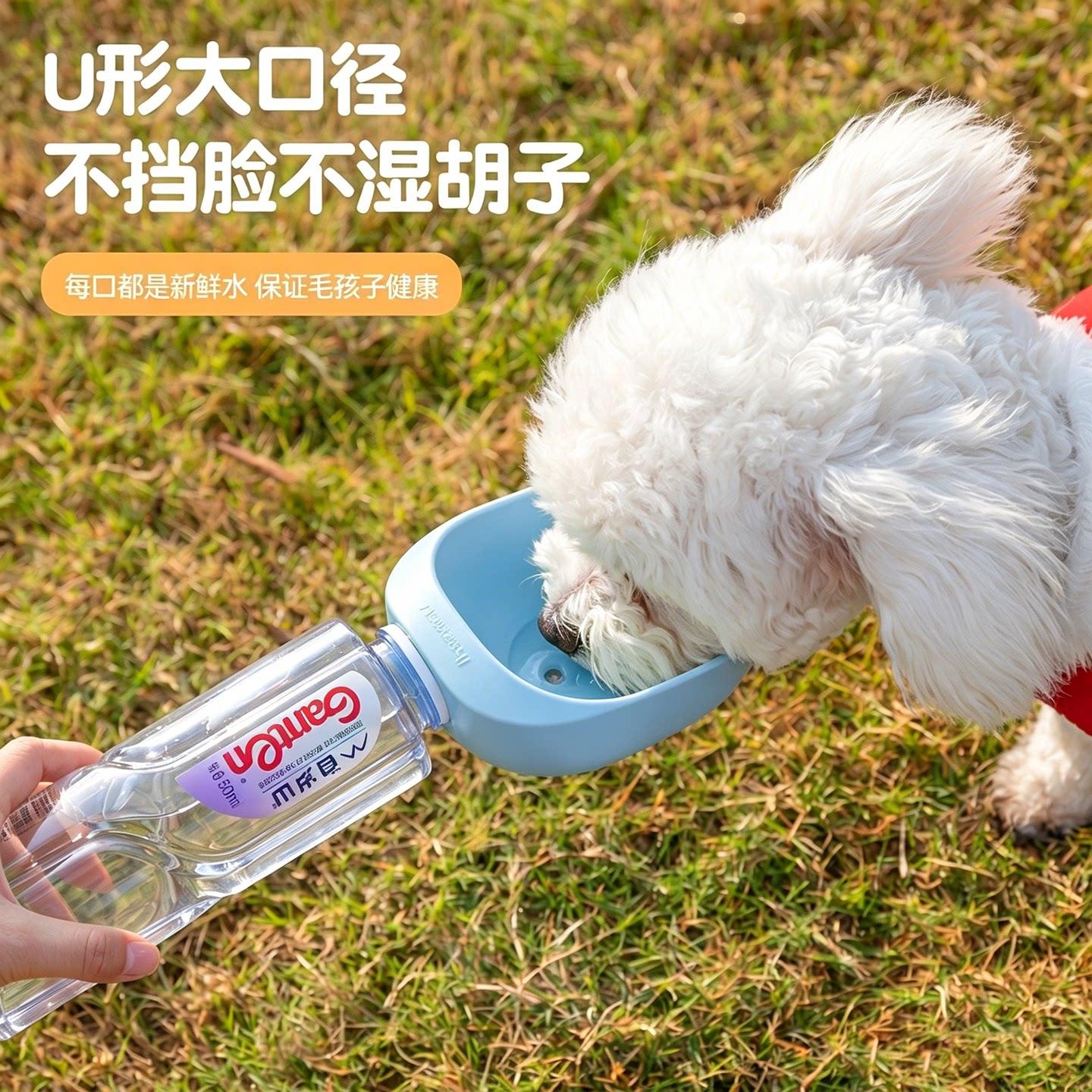 狗狗外出水杯可携式户外