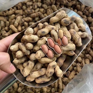 25年农家风味柴火手工大铁锅原味小炒带壳炒熟小珍珠花生炒货零食