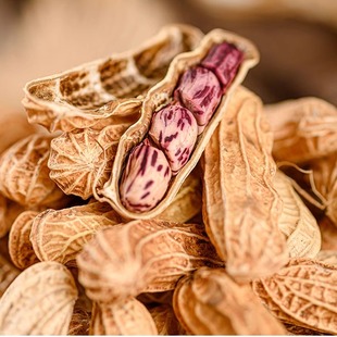 2025年新熟七彩花生水煮白晒味花生带壳水煮晒干原味特产花生零食