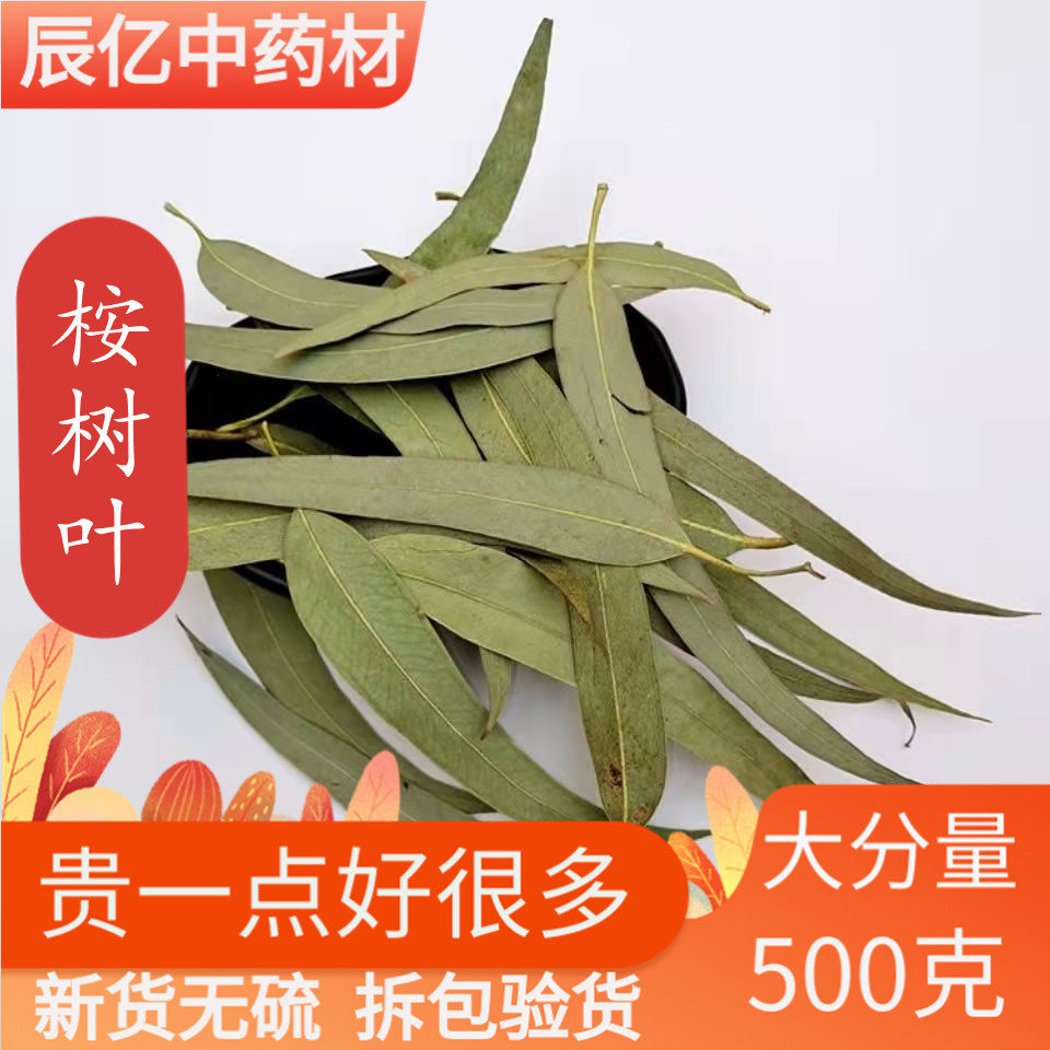 桉树叶 中药材 密袋鼠 除臭 大桉叶洗脸 洗澡 尤加利叶 500克包邮