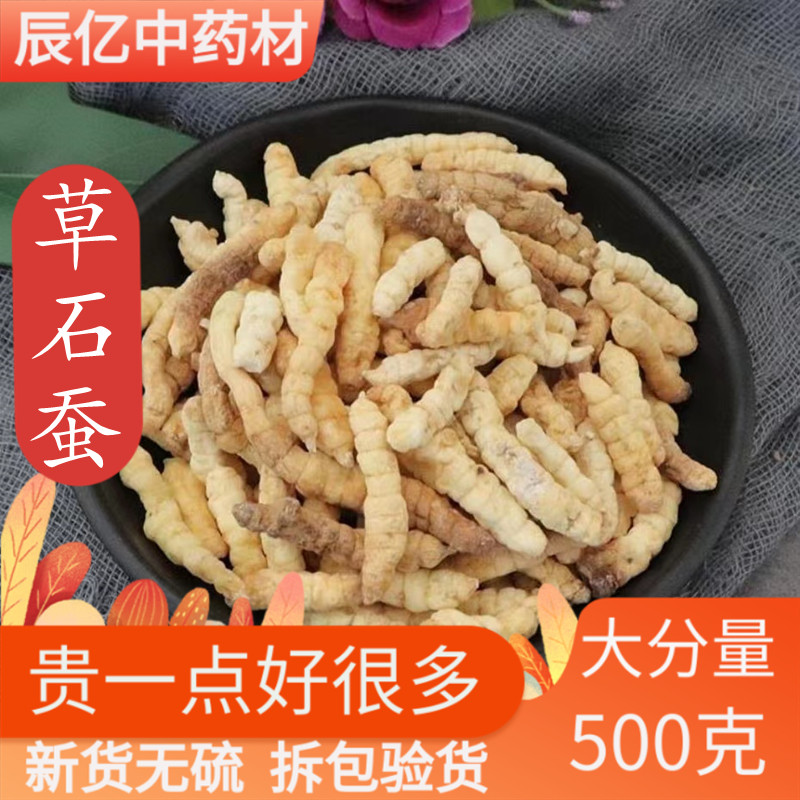 草石蚕中药材干货中草药材无硫正品土冬虫草地蚕500克