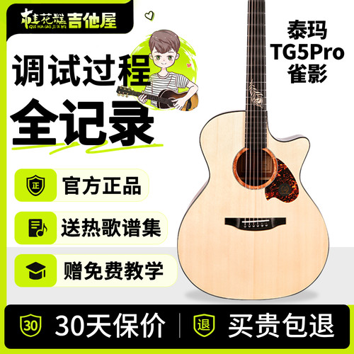 桂花糕吉他屋泰玛TG5pro雀影