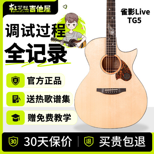 桂花糕吉他屋 TYMA泰玛雀影TG5 Live单板民谣木吉他弹唱初学者PRO