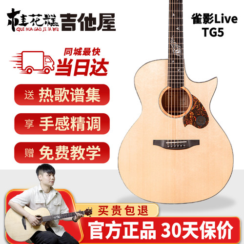 桂花糕吉他屋 TYMA泰玛雀影TG5 Live单板民谣木吉他弹唱初学者PRO
