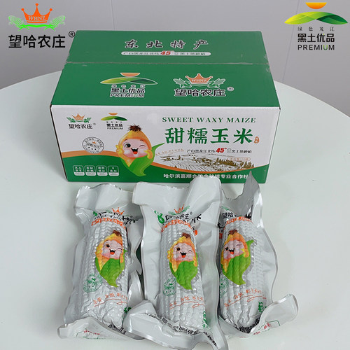望哈农庄甜糯玉米2025头茬新鲜采摘零添加营养代餐甜糯小仙糯玉米