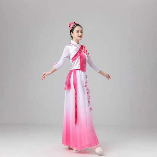 桃花挽月古典舞舞蹈服装演出服女