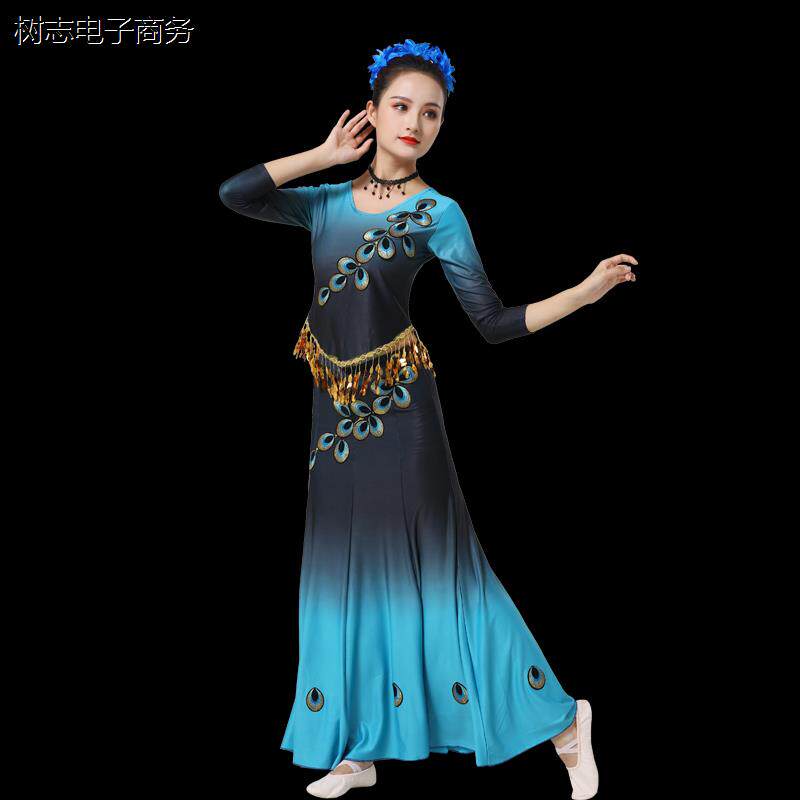 新款傣族舞蹈服少数民族葫芦丝演出服孔雀舞表演服长袖亮片成人女