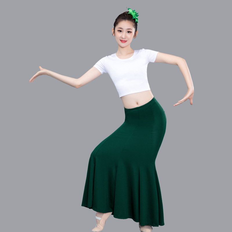 傣族舞蹈演出服练功裙表演服女