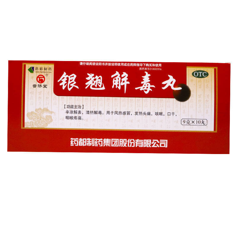 普济堂 银翘解毒丸 9g*10丸 清热解毒风热感冒发热头痛咽喉疼痛