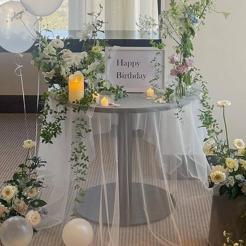 生日拍照超软网纱桌布网眼布