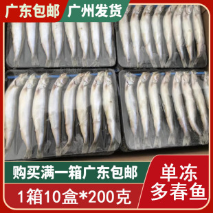 新鲜加拿大多春鱼满籽冷冻多子鱼带籽多春鱼生鲜鱼类200克10盒