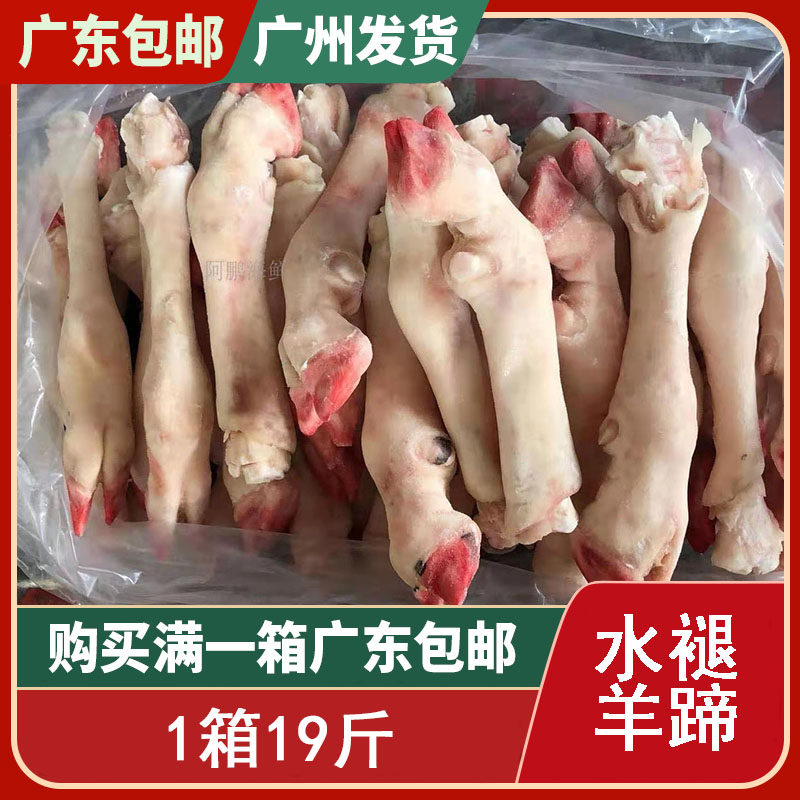 水褪羊蹄20斤/箱 清真新鲜冷冻 羊蹄子 羊脚 羊爪 生羊蹄 羊肉熟