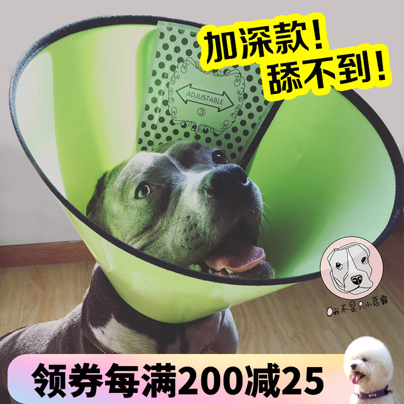 伊丽莎白猫咪保护耻辱防挠项圈