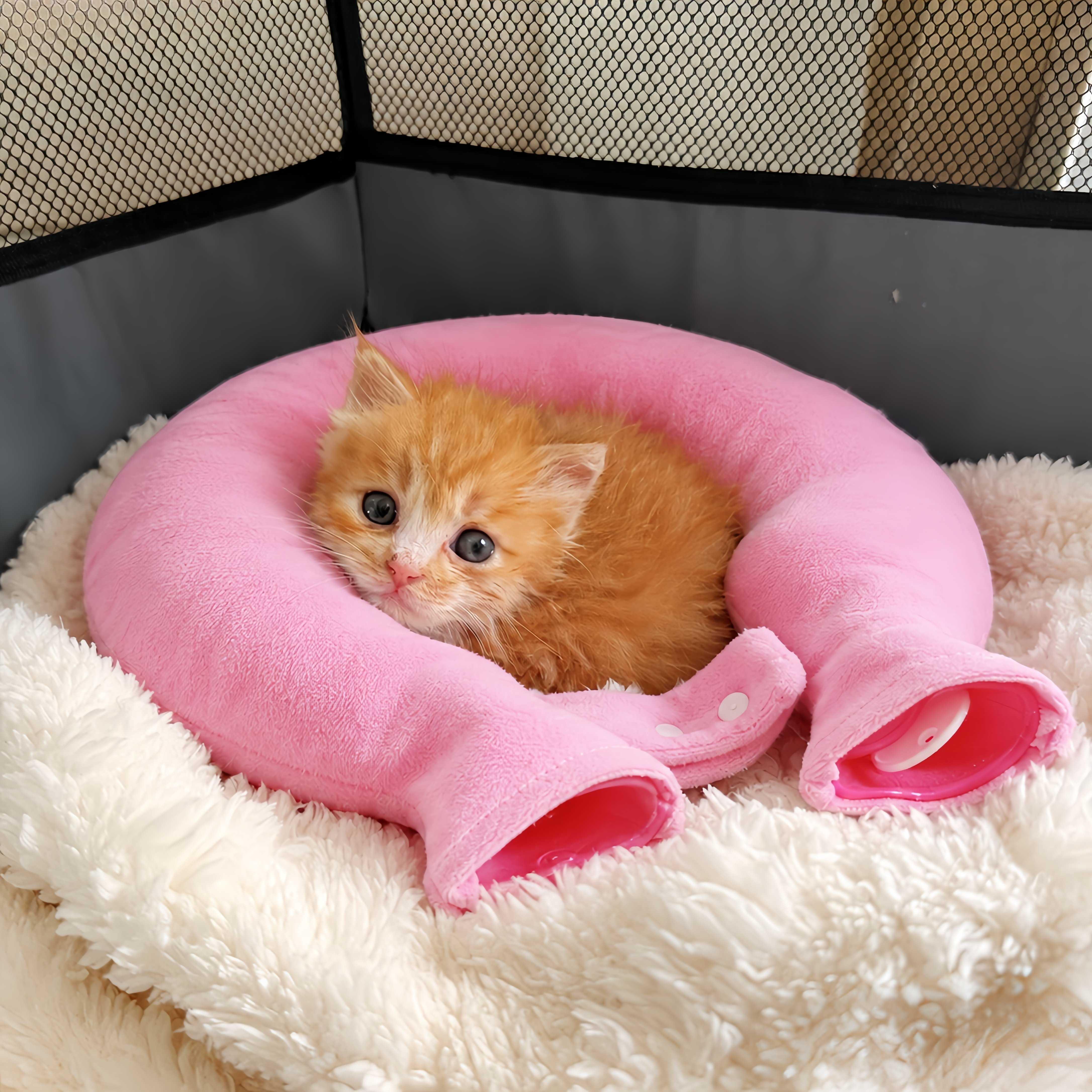 小奶猫毛绒垫子！宠物热水袋U型热水袋流浪猫狗窝冬季取暖流浪猫