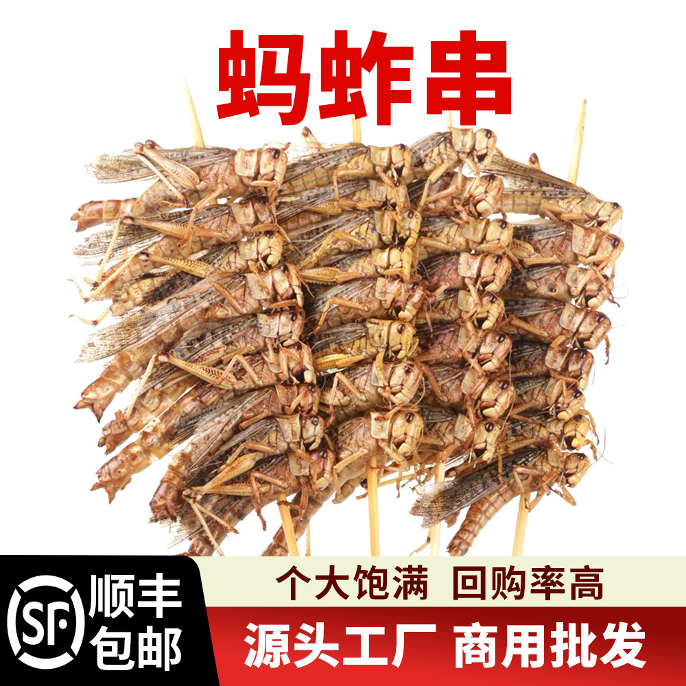 蚂蚱串油炸新鲜烧烤食材冷冻半成品蝗虫蚱蜢串昆虫类商用批发顺丰