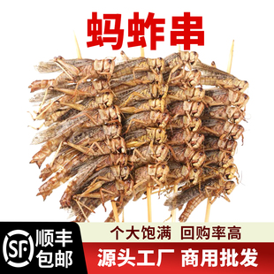 蚂蚱串油炸新鲜烧烤食材冷冻半成品蝗虫蚱蜢串昆虫类商用批发顺丰