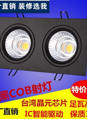 led双头射灯cob可调角度天花灯嵌入式家装商用格栅吊顶斗胆射灯