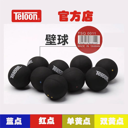 天龙专业比赛初学训练红点壁球