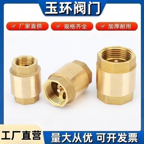 立式止回阀4分6分1寸弹簧单向阀dn15内外丝20阀门32止逆阀 表前40