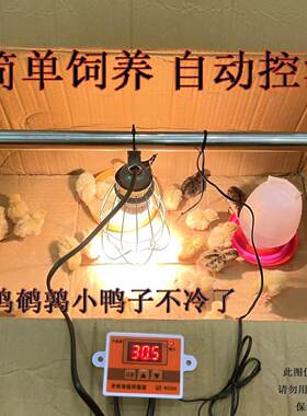 智能控温取暖灯自动加热灯养殖用