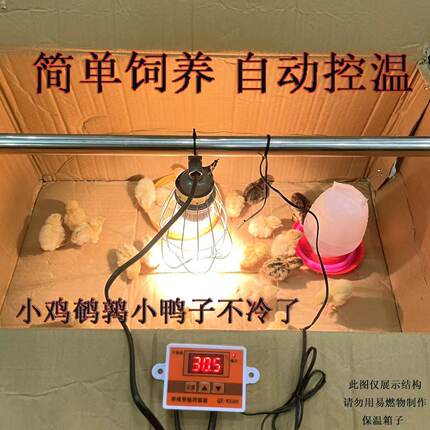 智能控温保温取暖灯芦丁鸡猪育雏过冬自动加热取暖养殖专用加热灯