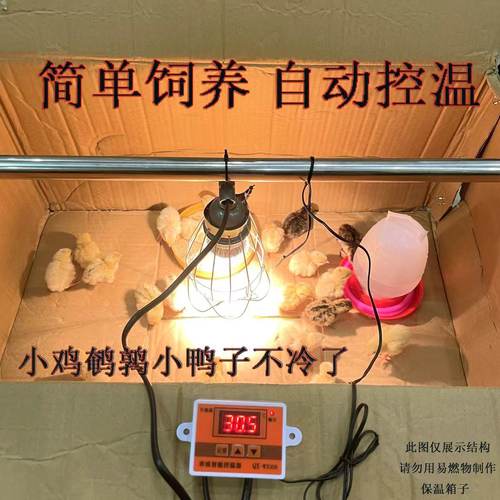 智能控温取暖灯自动加热灯养殖用
