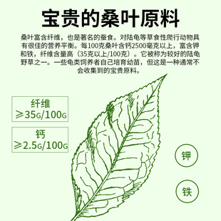 日本进口高够力陆龟粮红腿陆龟辐射龟苏象龟豹纹陆龟赫曼陆龟雨林