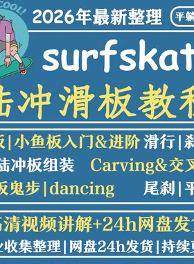 陆冲长板小鱼滑板零基础教学视频教程初学者新手入门自学花样刷街