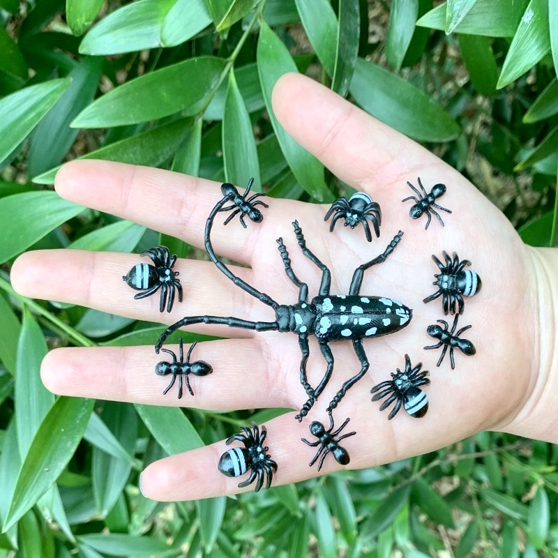 仿真天牛迷你天水牛可爱蜘蛛蚂蚁儿童玩具静态塑胶小昆虫动物模型