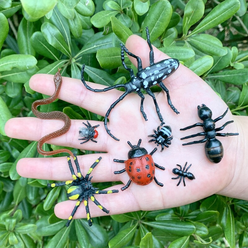 仿真迷你蜘蛛蚂蚁瓢虫苍蝇小蛇昆虫套装儿童玩具静态动物模型摆件