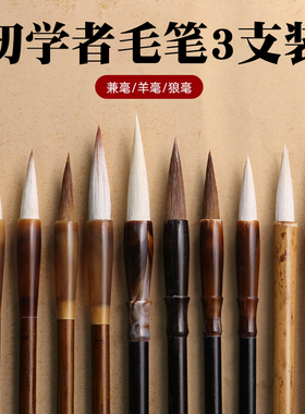 毛笔书法专用套装初学兼毫狼毫羊毫国画书法小楷中楷行书毛笔字初学者入门套装文房四宝绘画隶书用专业级