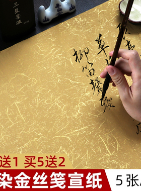 宣纸书法专用纸毛笔书法作品纸洒金宣纸书法纸粉彩半生半熟四尺整张彩色宣纸六尺仿古对开宣纸金丝笺创作国展