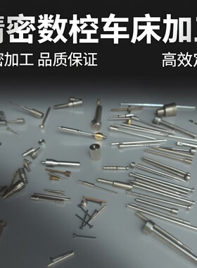 微小零件加工走心机数控车床件细长轴探针医疗微小件加工打样板