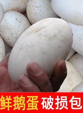 正宗农家散养新鲜土鹅蛋孕妇6枚初生大鹅蛋家养鹅蛋现捡现发包邮