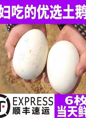 鹅蛋新鲜微山湖纯农家散养天然土鹅蛋孕妇去胎毒初生蛋90~110g