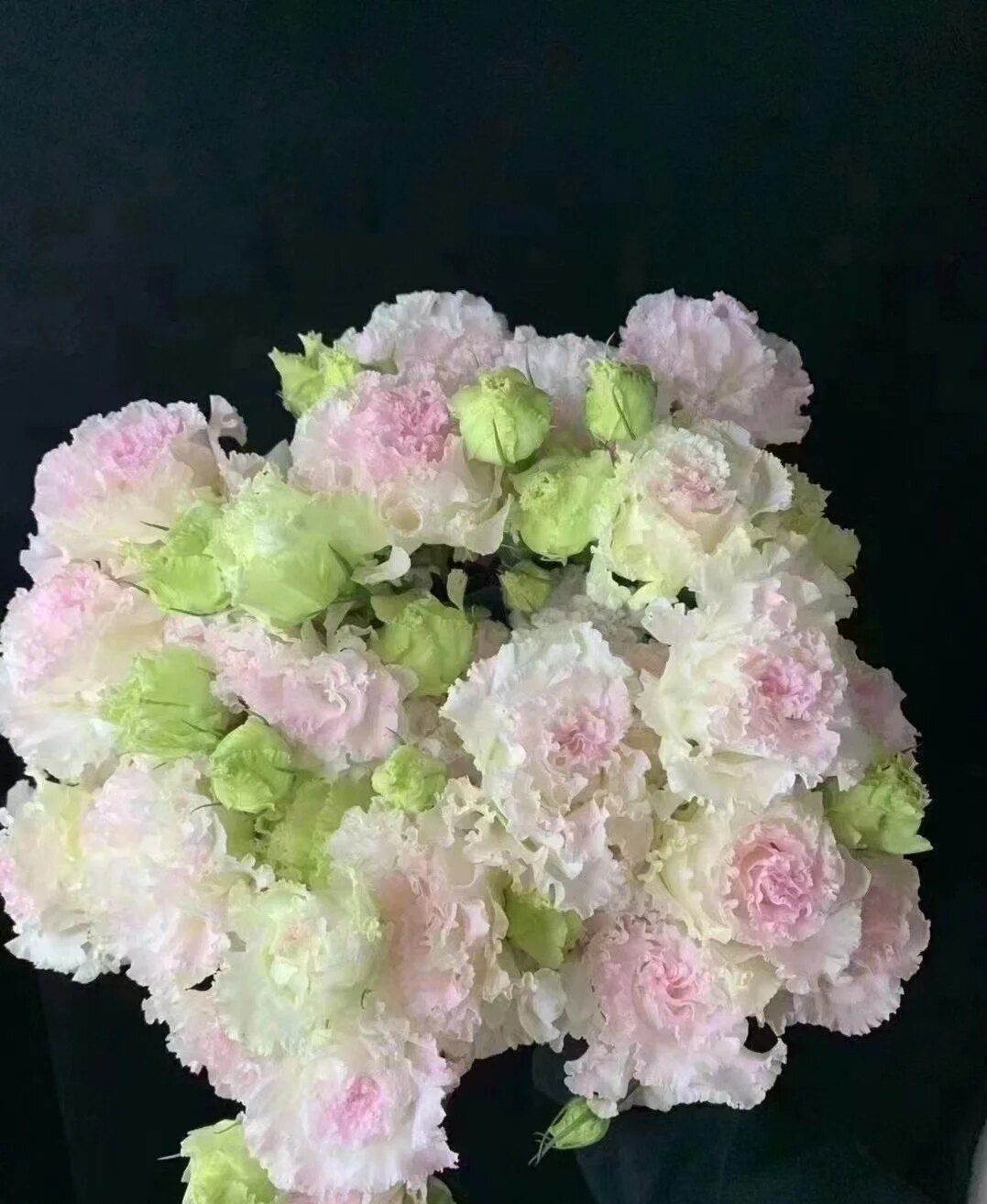 洋桔梗鲜花插花云南昆明直发家庭水养鲜切花束手捧花混搭中通包邮