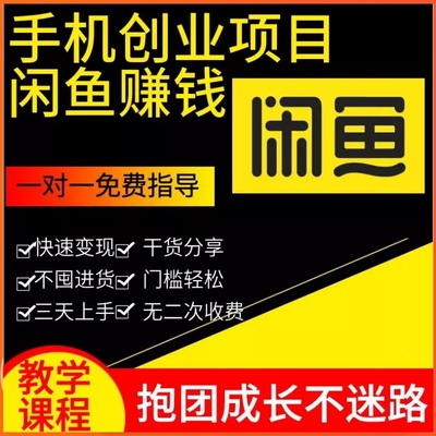 闲鱼运营课程一对一指导闲咸鱼手机创业副业赚钱小项目教程