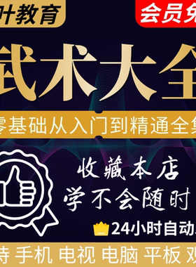 零基础武术视频自学教程入门教学咏春拳散打擒拿泰拳防身术跆拳道
