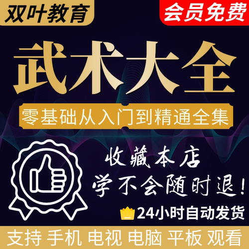 零基础武术视频自学教程入门教学咏春拳散打擒拿泰拳防身术跆拳道